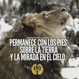 permanece_con_los_pies_sobre_la_tierra_y_la_mirada_en_el_cielo