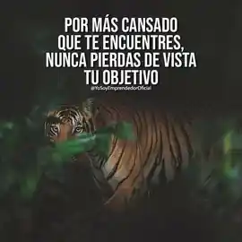 por_mas_cansado_que_te_encuentres_nunca_pierdas_de_vista_tu_objetivo