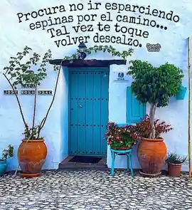 procura_no_ir_esparciendo_espinas_por_el_camino_tal_vez_te_toque_volver_descalzo