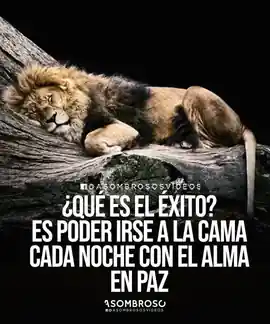 que_es_el_exito_es_poder_irse_a_la_cama_cada_noche_con_el_alma_en_paz