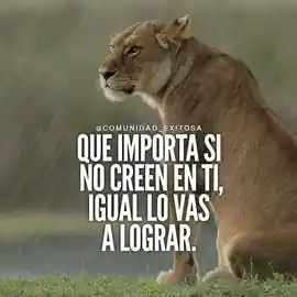 que_importa_si_no_creen_en_ti_igual_lo_vas_a_lograr