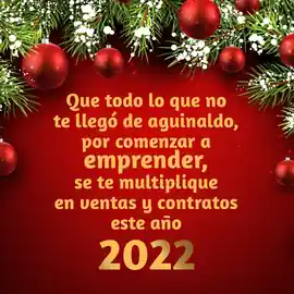 que_todo_lo_que_no_te_llego_de_aguinaldo_por_comenzar_a_emprender_se_te_multiplique_en_ventas_y_contratos_este_ano_2022