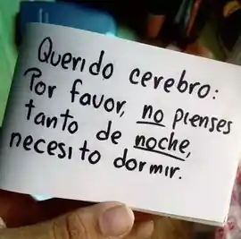 querido_cerebro_por_favor_no_pienses_tanto_de_noche_necesito_dormir_1
