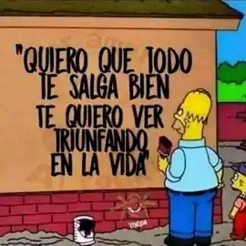 quiero_que_todo_te_salga_bien_te_quiero_ver_triunfando_en_la_vida