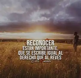 reconocer_es_tan_importante_que_se_escribe_igual_al_derecho_que_al_reves