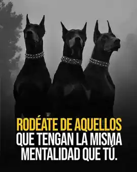 rodeate_de_aquellos_que_tengan_la_misma_mentalidad_que_tu