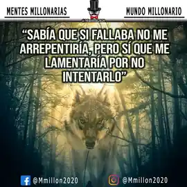 sabia_que_si_fallaba_no_me_arrepentiria_pero_si_que_me_lamentaria_por_no_intentarlo