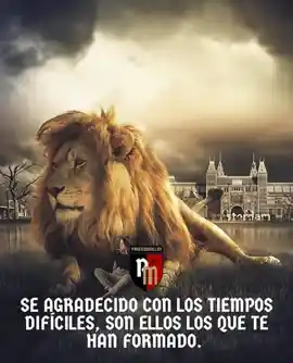 se_agradecido_con_los_tiempos_dificiles_son_ellos_los_que_te_han_formado