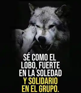 se_como_el_lobo_fuerte_en_la_soledad_y_solidario_en_el_grupo
