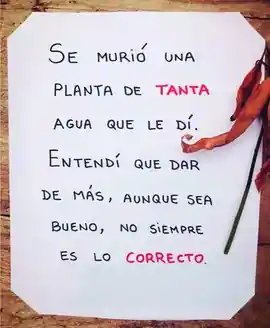 se_murio_una_planta_de_tanta_agua_que_le_di_entendi_que_dar_de_mas_aunque_sea_bueno_no_siempre_es_lo_correcto