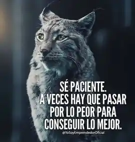 se_paciente_a_veces_hay_que_pasar_por_lo_peor_para_conseguir_lo_mejor