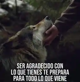 ser_agradecido_con_lo_que_tienes_te_prepara_para_todo_lo_que_viene