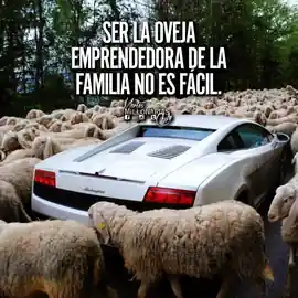 ser_la_oveja_emprendedora_de_la_familia_no_es_facil