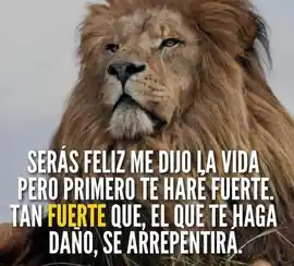 seras_feliz_me_dijo_la_vida_pero_primero_te_hare_fuerte_tan_fuerte_que_el_que_te_haga_dano_se_arrepentira_1