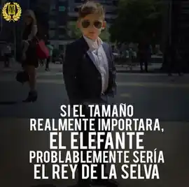 si_el_tamano_realmente_importara_el_elefante_probablemente_seria_el_rey_de_la_selva