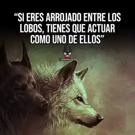 si_eres_arrojado_entre_los_lobos_tienes_que_actuar_como_uno_de_ellos