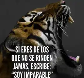 si_eres_de_los_que_no_se_rinden_jamas_escribe_soy_imparable