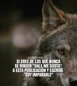 si_eres_de_los_que_nunca_se_rinden_dale_me_gusta_a_esta_publicacion_y_escribe_soy_imparable