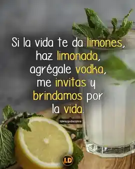 si_la_vida_te_da_limones_haz_limonada_agregale_vodka_me_invitas_y_brindamos_por_la_vida