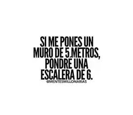 si_me_pones_un_muro_de_5_metros_pondre_una_escalera_de_6
