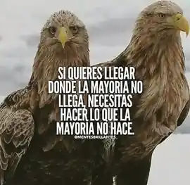 si_quieres_llegar_donde_la_mayoria_no_llega_necesitas_hacer_lo_que_la_mayoria_no_hace