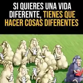 si_quieres_una_vida_diferente_tienes_que_hacer_cosas_diferentes