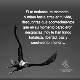 si_te_detienes_un_momento_y_miras_hacia_atras_en_tu_vida_descubriras_que_acontecimientos_que_en_su_momento_parecieron_desgracias_hoy_te_han_traido_fortaleza_libertad_paz_y_crecimiento_interior