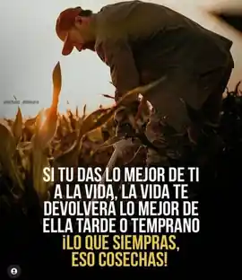 si_tu_das_lo_mejor_de_ti_a_la_vida_la_vida_te_devolvera_lo_mejor_de_ella_tarde_o_temprano_lo_que_siembras_eso_cosechas