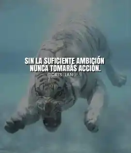 sin_la_suficiente_ambicion_nunca_tomaras_accion