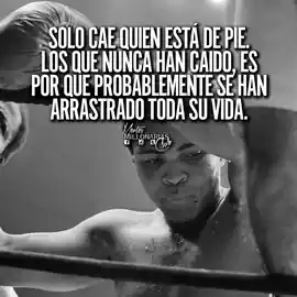 solo_cae_quien_esta_de_pie_los_que_nunca_han_caido_es_por_que_probablemente_se_han_arrastrado_toda_su_vida