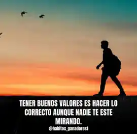 tener_buenos_valores_es_hacer_lo_correcto_aunque_nadie_te_este_mirando