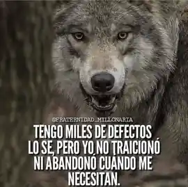 tengo_miles_de_defectos_lo_se_pero_yo_no_traiciono_ni_abandono_cuando_me_necesitan