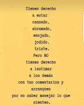 tienes_derecho_a_estar_cansado_abrumado_enojado_jodido_triste_pero_no_tienes_derecho_a_lastimar_a_los_demas_con_tus_comentarios_y_arranques_por_no_saber_manejar_lo_que_sientes