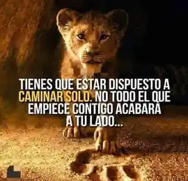 tienes_que_estar_dispuesto_a_caminar_solo_no_todo_el_que_empieza_contigo_acabara_a_tu_lado