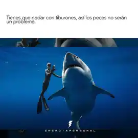 tienes_que_nadar_con_tiburones_asi_los_peces_no_seran_un_problema