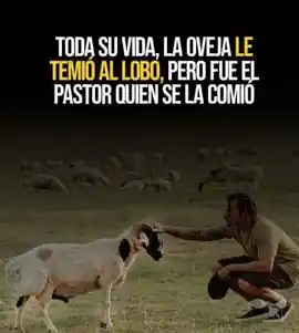 toda_su_vida_la_oveja_le_temio_al_lobo_pero_fue_el_pastor_quien_se_la_comio