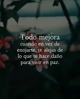 todo_mejora_cuando_en_vez_de_enojarte_te_alejas_de_lo_que_te_hace_dano_para_vivir_en_paz