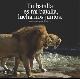 tu_batalla_es_mi_batalla_luchamos_juntos