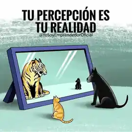 tu_percepcion_es_tu_realidad