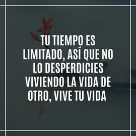 tu_tiempo_es_limitado_asi_que_no_lo_desperdicies_viviendo_la_vida_de_otro_vive_tu_vida
