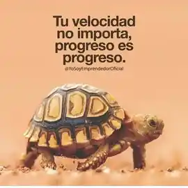 tu_velocidad_no_importa_progreso_es_progreso