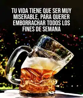 tu_vida_tiene_que_ser_muy_miserable_para_querer_emborracharte_todos_los_fines_de_semana