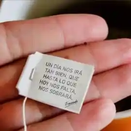 un_dia_nos_ira_tan_bien_que_hasta_lo_que_hoy_nos_falta_nos_sobrara