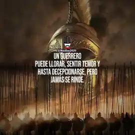 un_guerrero_puede_llorar_sentir_temor_y_hasta_decepcionarse_pero_jamas_se_rinde