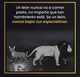 un_leon_nunca_va_a_comer_pasto_no_importa_que_tan_hambriento_este_se_un_leon_nunca_bajes_tus_expectativas