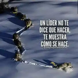 un_lider_no_te_dice_que_hacer_te_muestra_como_se_hace_1