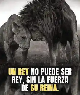 un_rey_no_puede_ser_rey_sin_la_fuerza_de_su_reina