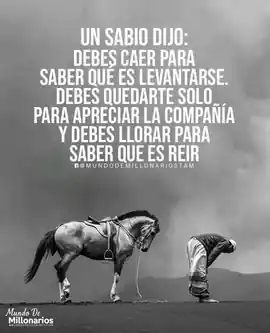 un_sabio_dijo_debes_caer_para_saber_que_es_levantarse_debes_quedarte_solo_para_apreciar_la_compania_y_debes_llorar_para_saber_que_es_reir