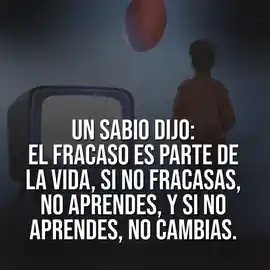un_sabio_dijo_el_fracaso_es_parte_de_la_vida_si_no_fracasas_no_aprendes_y_si_no_aprendes_no_cambias