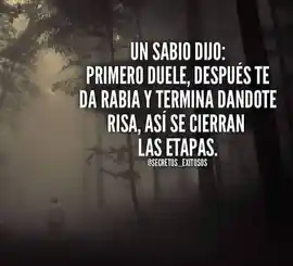 un_sabio_dijo_primero_duele_despues_te_da_rabia_y_termina_dandote_risa_asi_se_cierran_las_etapas